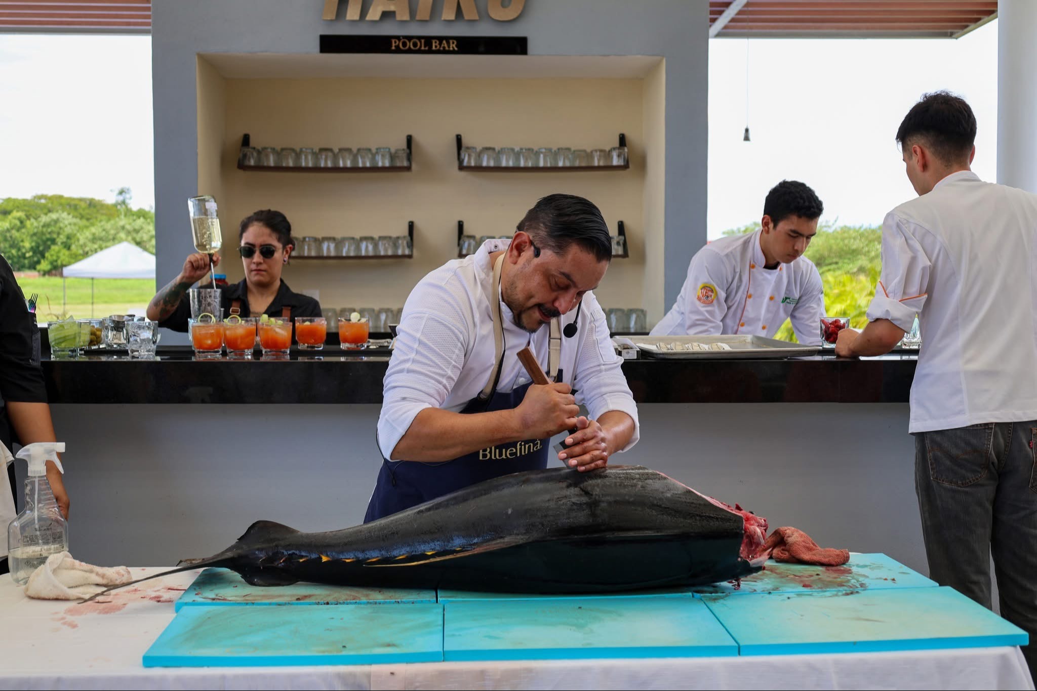 IMG_0711.jpeg IMG_0711.jpeg