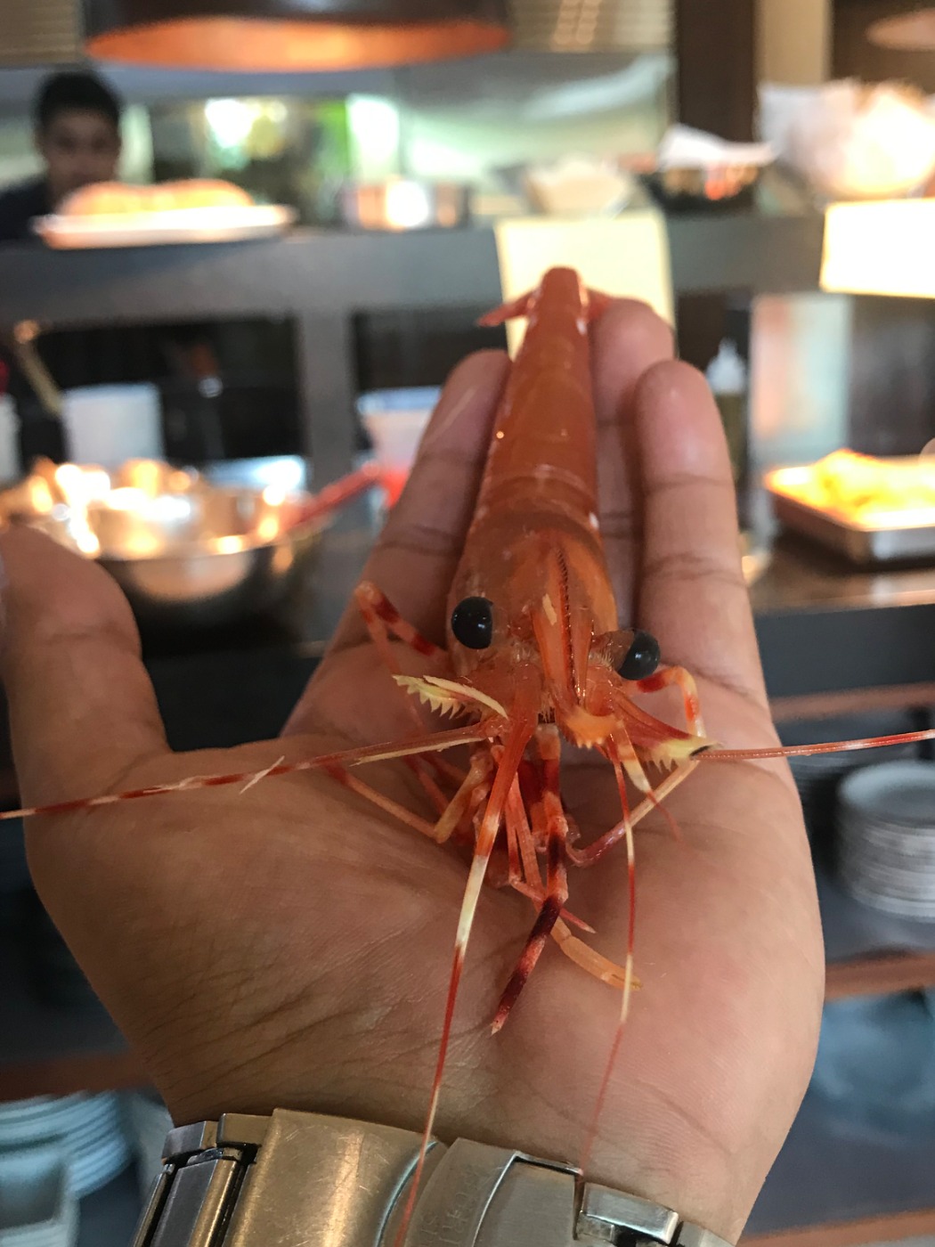 IMG_6002.jpeg IMG_6002.jpeg