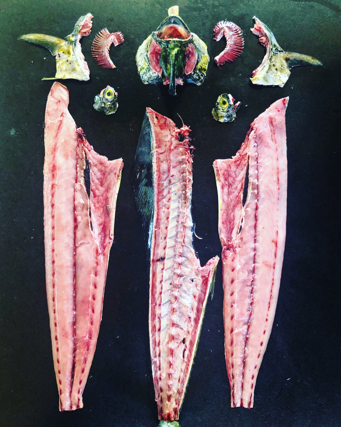 B18C6940-97E7-4247-AF5A-E040BBD67673.jpeg B18C6940-97E7-4247-AF5A-E040BBD67673.jpeg