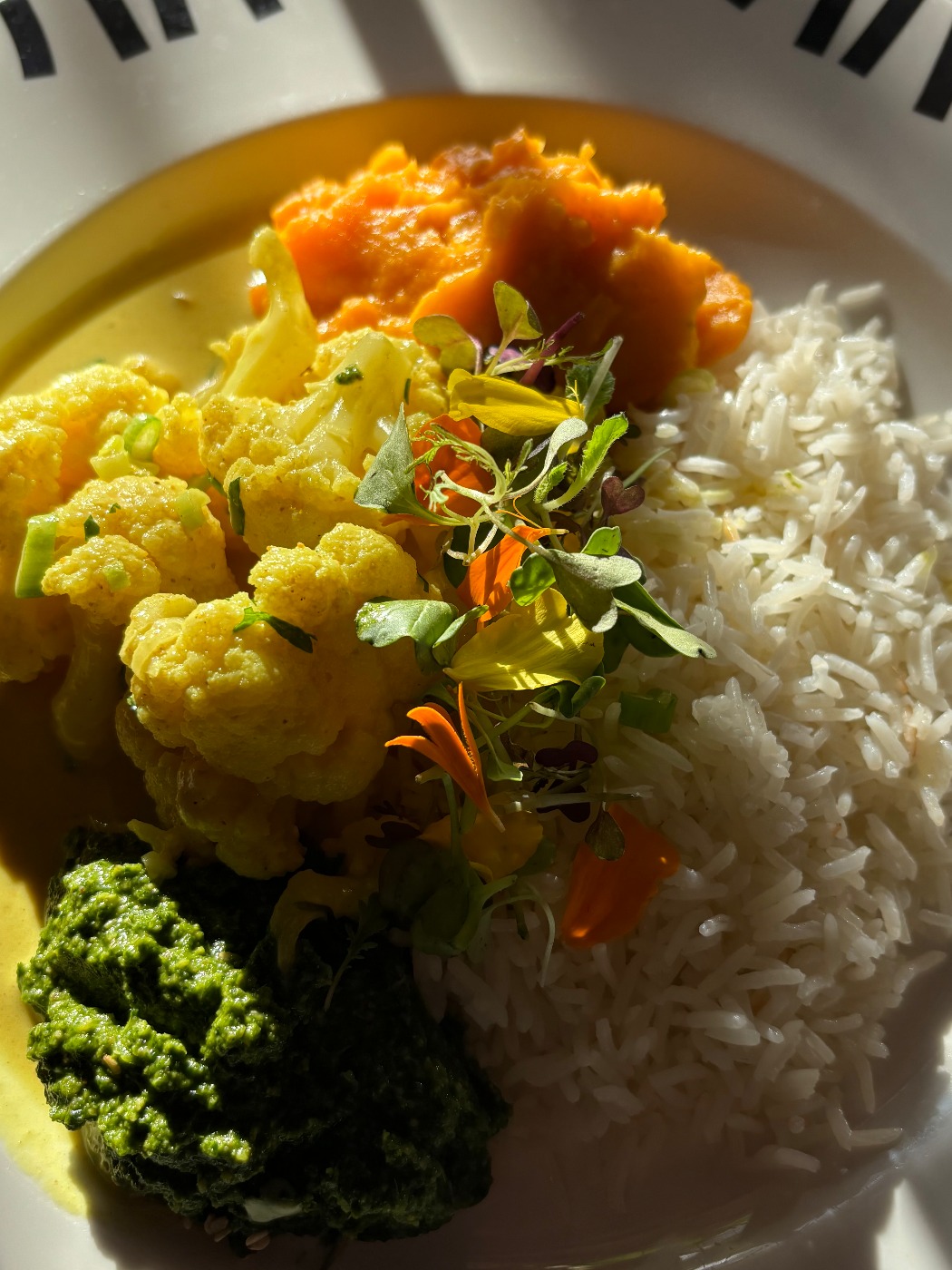 IMG_0165.jpeg IMG_0165.jpeg