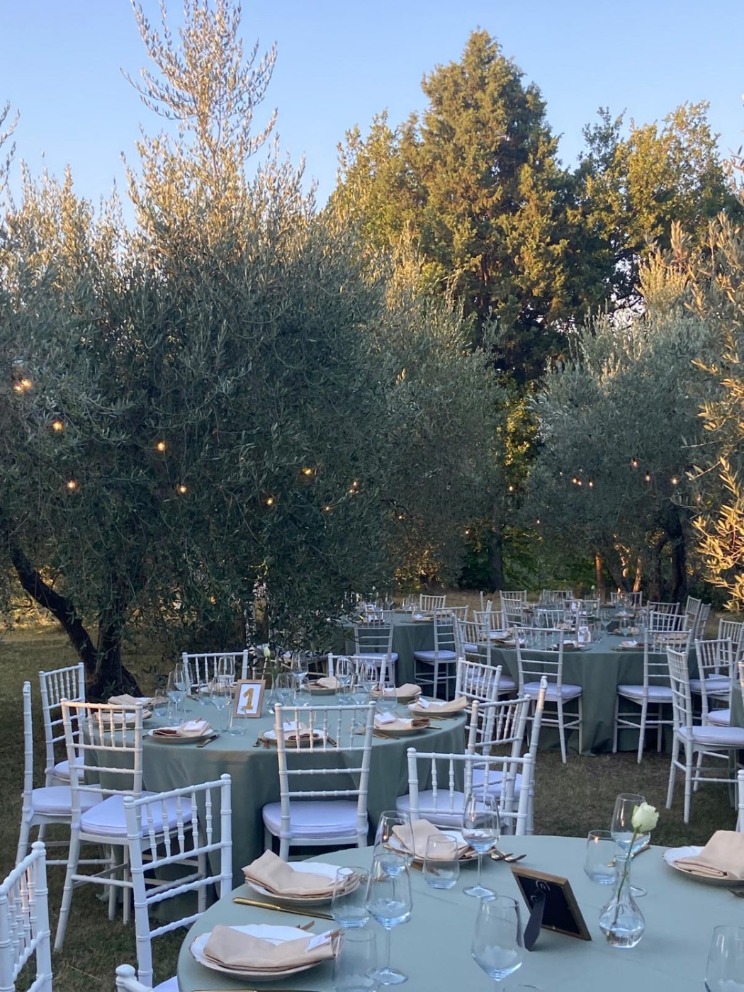 3368D1A2-6F21-4BEF-B20F-993662807F17.jpeg 3368D1A2-6F21-4BEF-B20F-993662807F17.jpeg