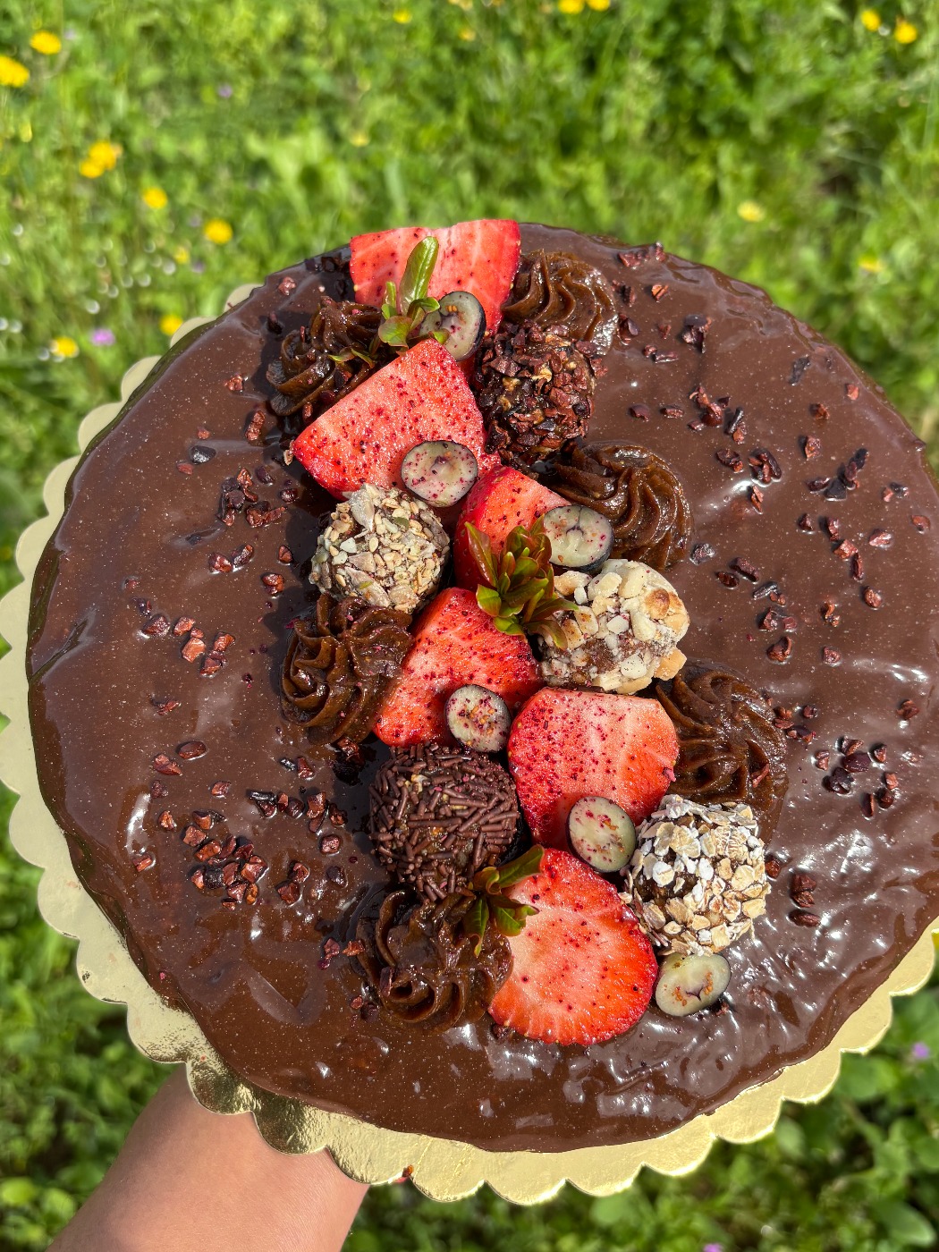 IMG_1329.jpeg IMG_1329.jpeg