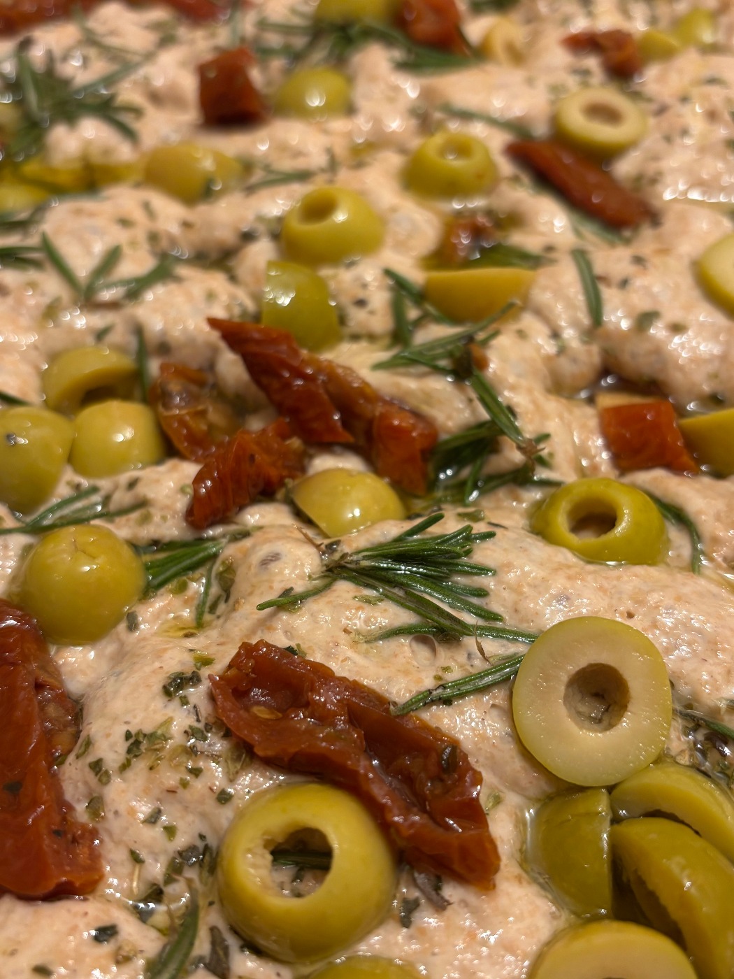 IMG_0748.jpeg IMG_0748.jpeg