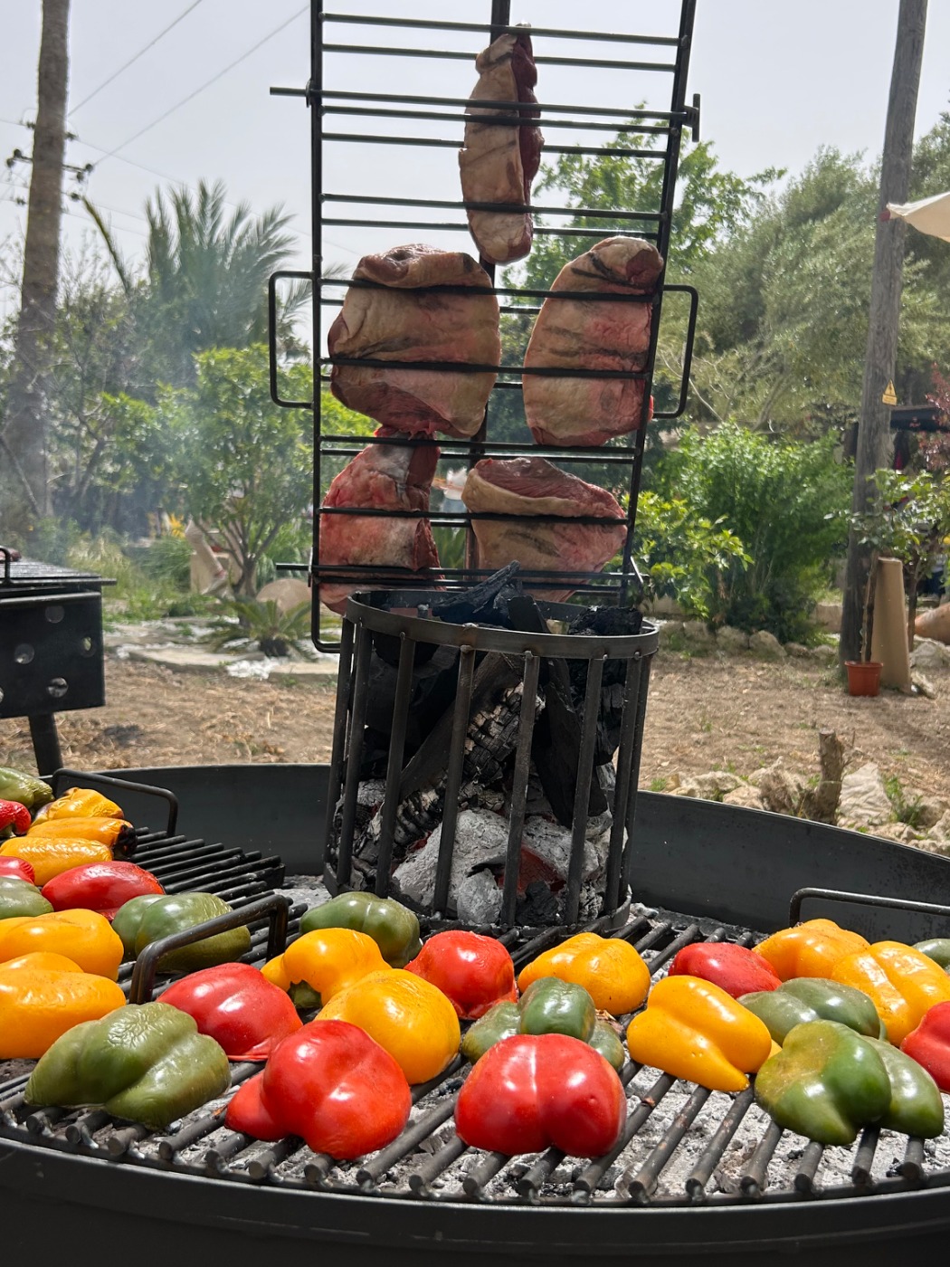 IMG_5051.jpeg IMG_5051.jpeg