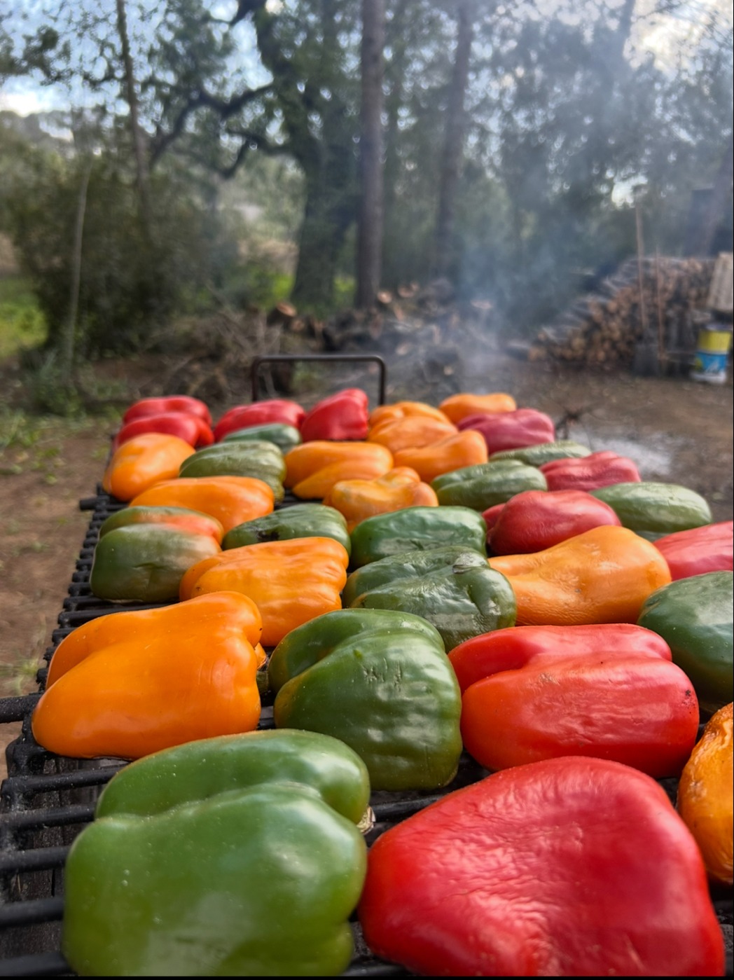 IMG_7432.jpeg IMG_7432.jpeg