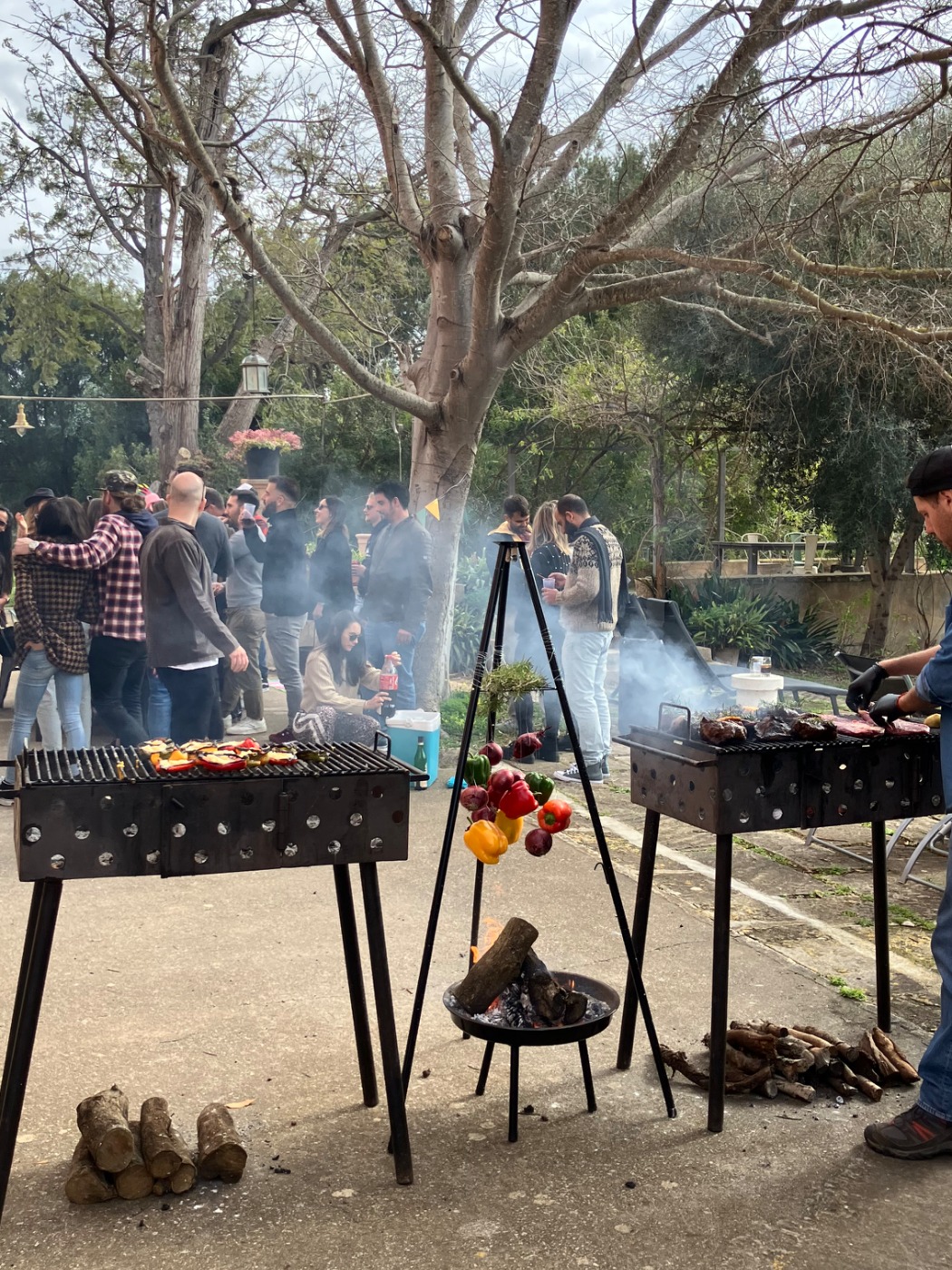 IMG_7974.jpeg IMG_7974.jpeg