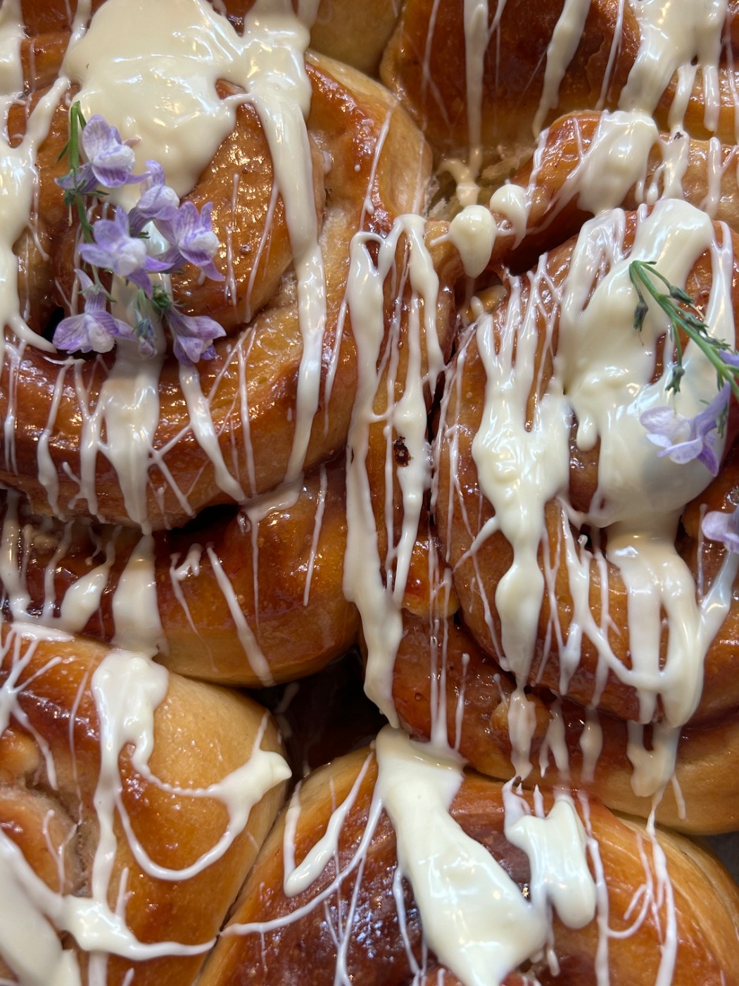 IMG_1334.jpeg IMG_1334.jpeg