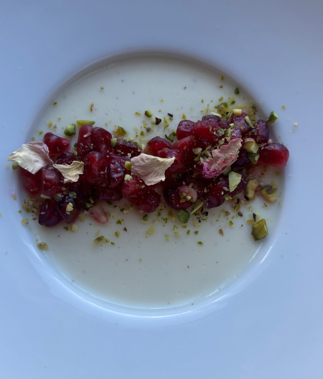 IMG_4491.jpeg IMG_4491.jpeg