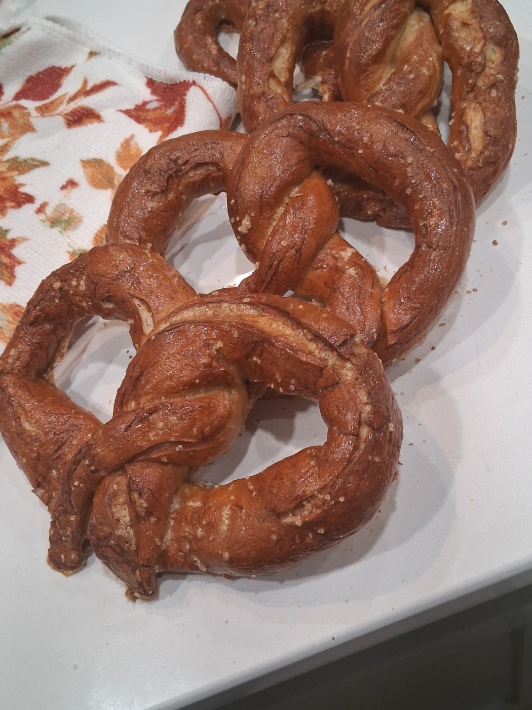 inbound8972503313659503576.jpg inbound8972503313659503576.jpg