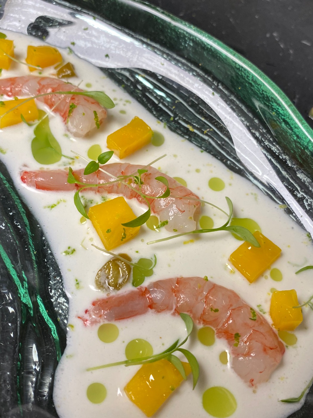 IMG_0141.jpeg IMG_0141.jpeg