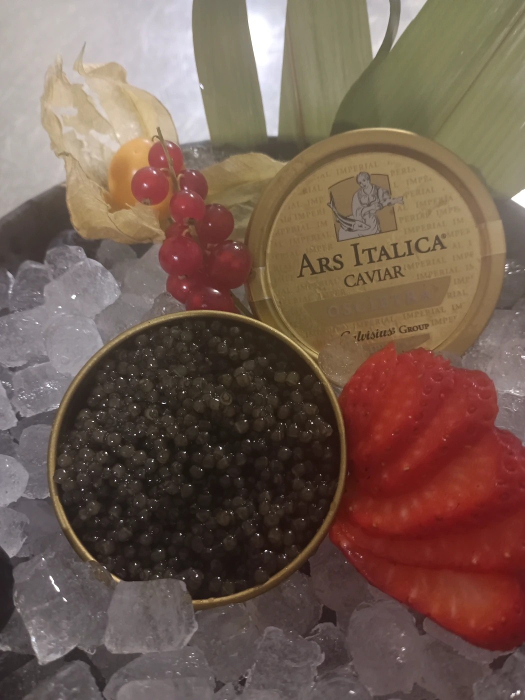 IMG_20250514_211927_794.jpg IMG_20250514_211927_794.jpg