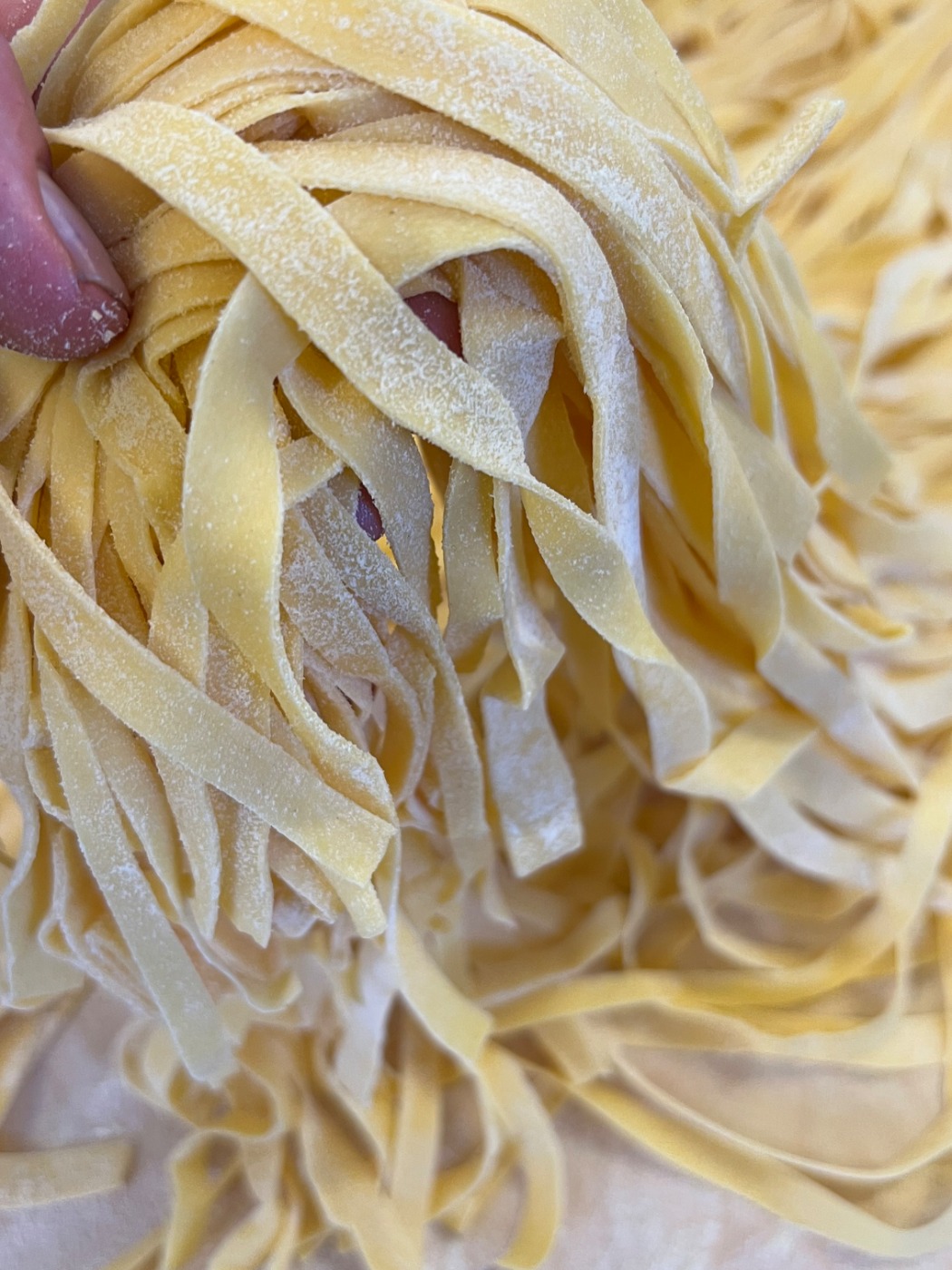 IMG_6191.jpeg IMG_6191.jpeg