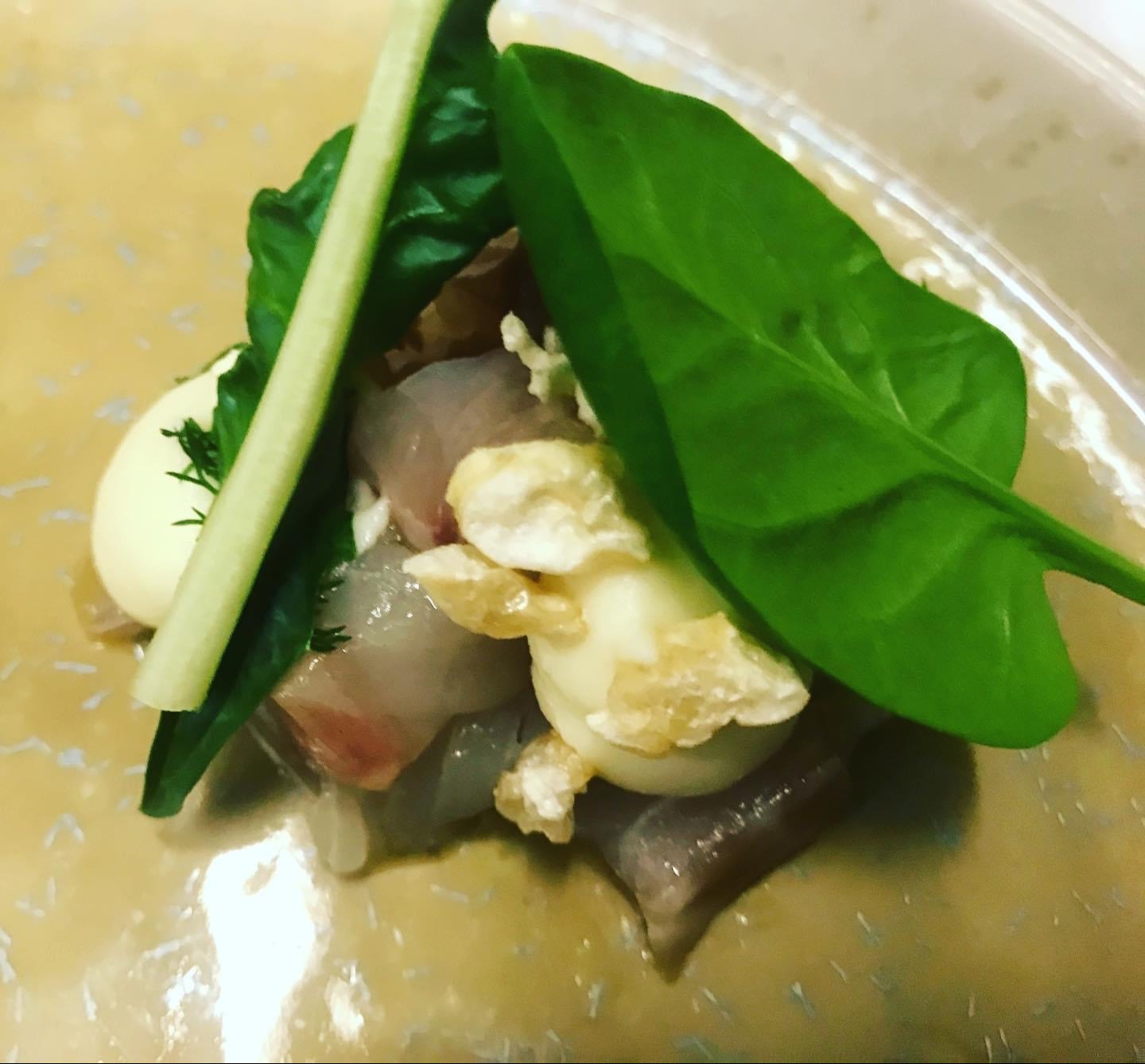 IMG_2340.jpeg IMG_2340.jpeg