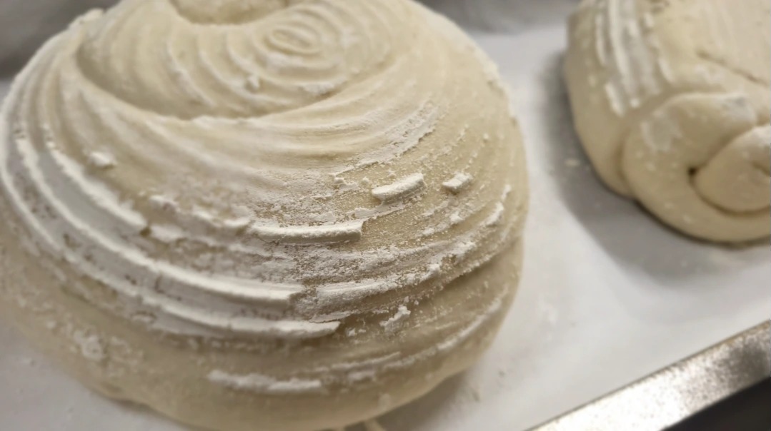 Screenshot_20251031_092943_Gallery.jpg Screenshot_20251031_092943_Gallery.jpg