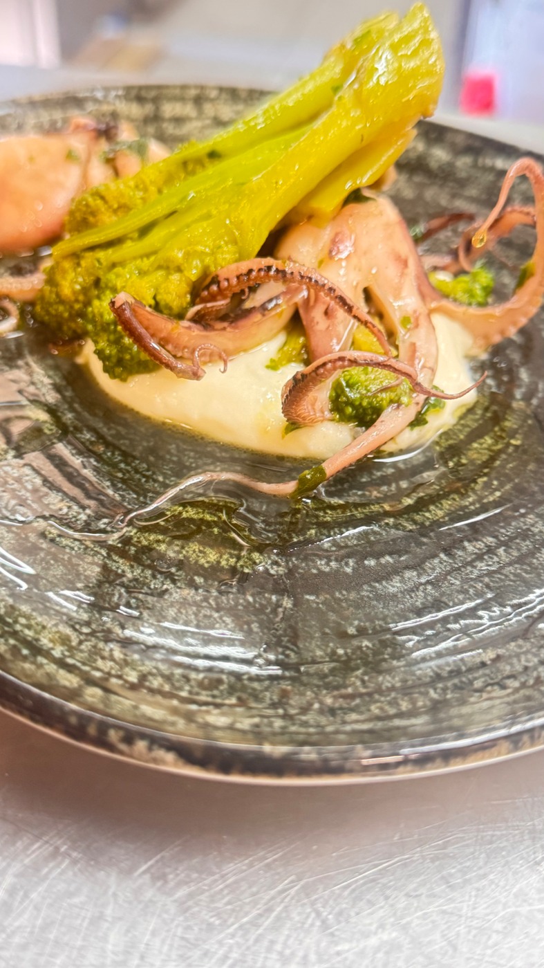 IMG_8557.jpeg IMG_8557.jpeg