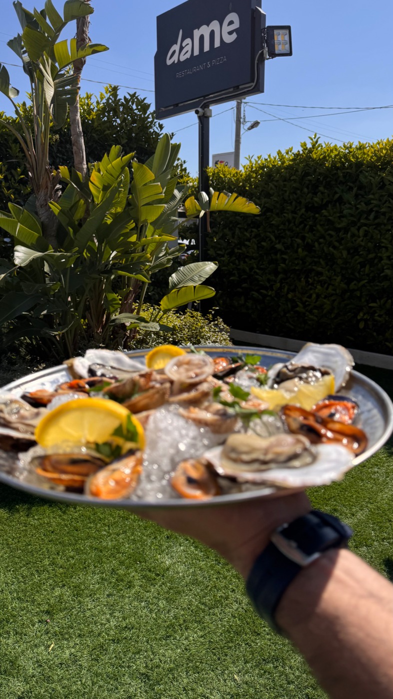 IMG_7543.jpeg IMG_7543.jpeg