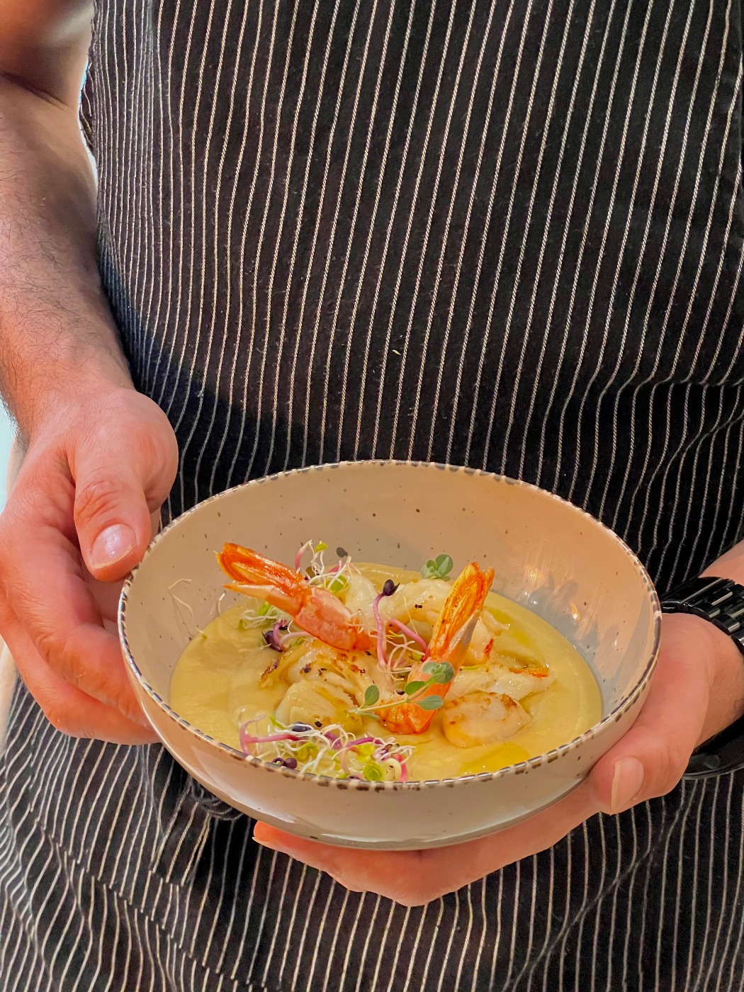 tempImagey6Qyrg.jpg tempImagey6Qyrg.jpg