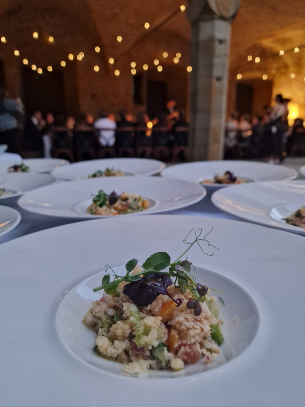 PHOTO-2025-10-23-16-50-28.jpg PHOTO-2025-10-23-16-50-28.jpg