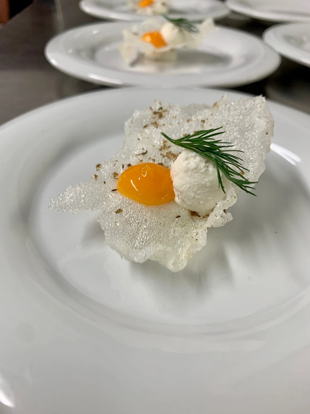 IMG_1564.jpg IMG_1564.jpg