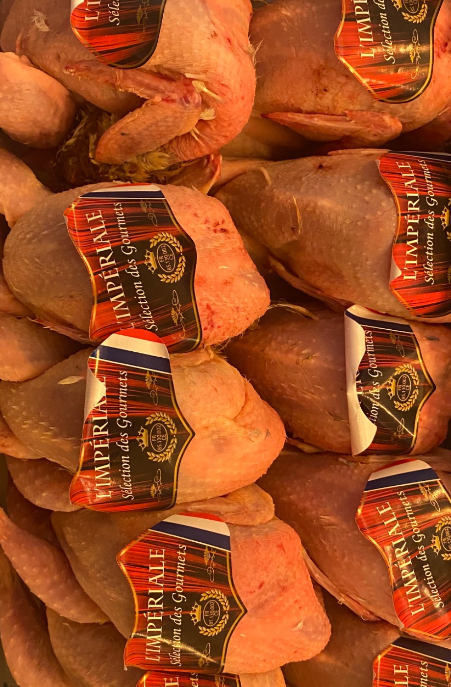 IMG_0207.jpeg IMG_0207.jpeg