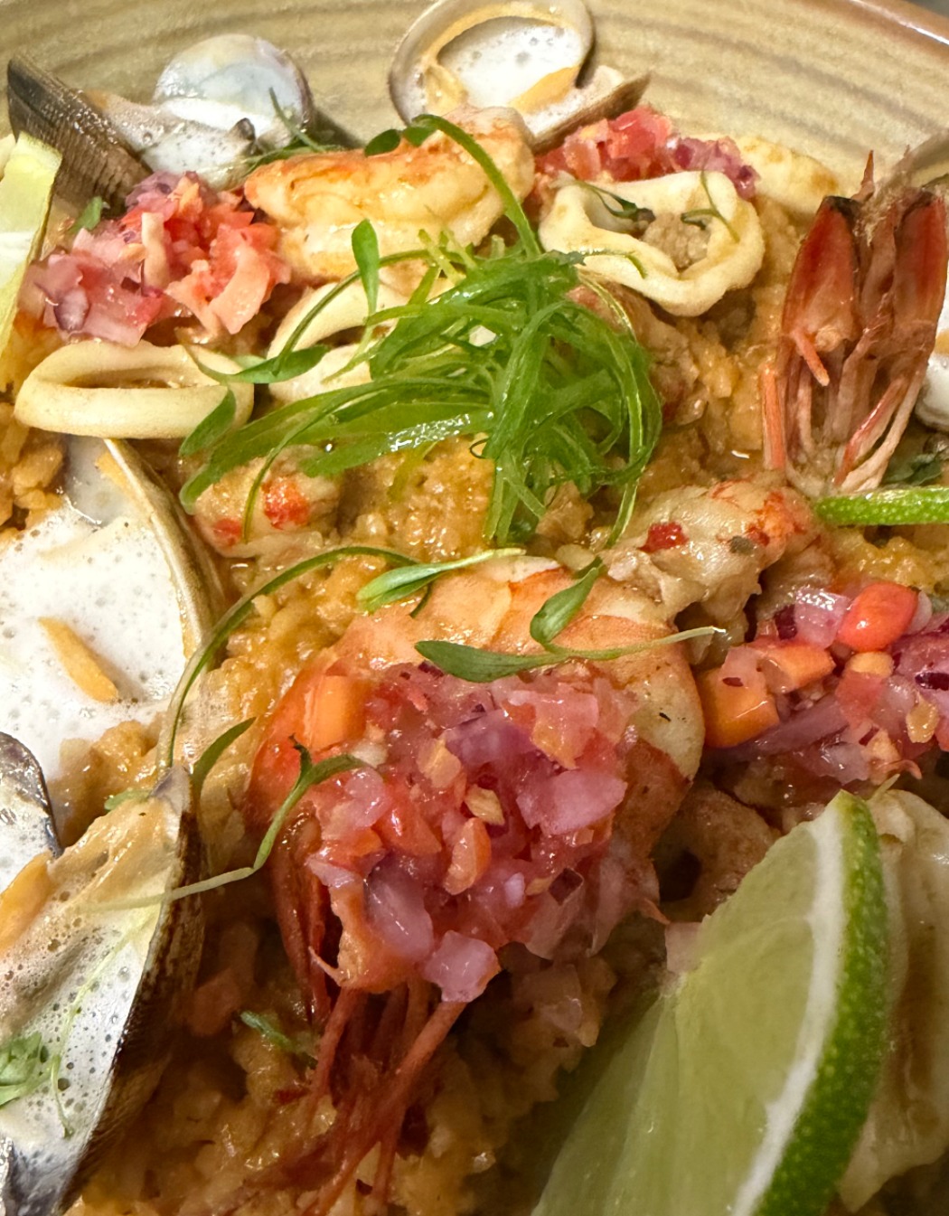 IMG_1921.jpeg IMG_1921.jpeg