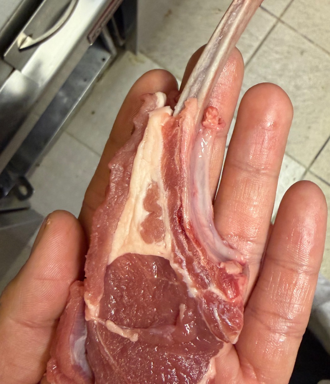 IMG_1744.jpeg IMG_1744.jpeg