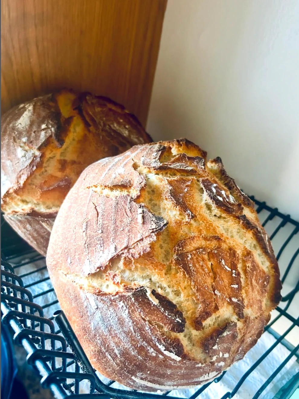 Captura de pantalla 2025-12-15 a la(s) 10.35.20 a.m..png Captura de pantalla 2025-12-15 a la(s) 10.35.20 a.m..png