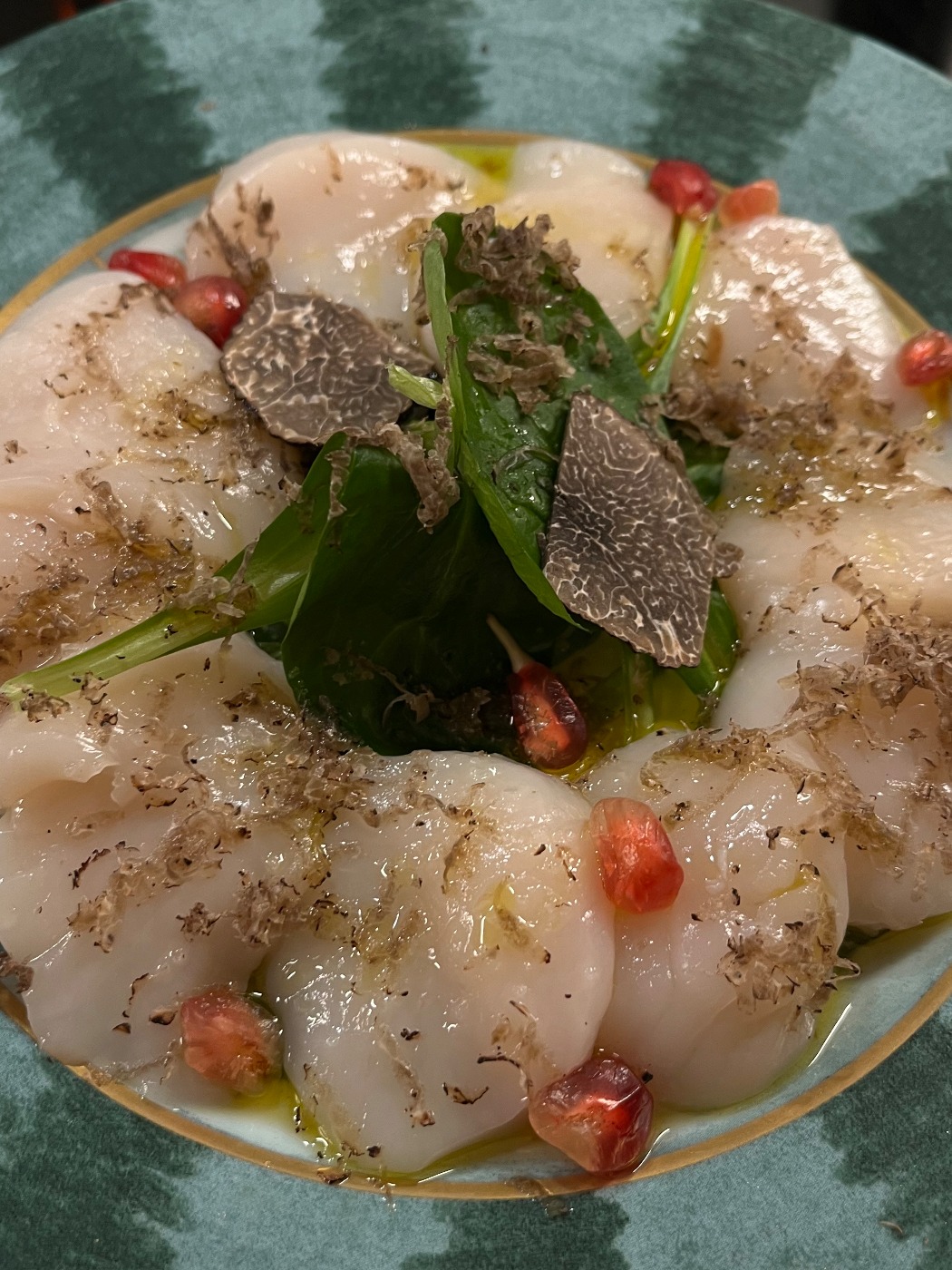 IMG_1031.jpeg IMG_1031.jpeg