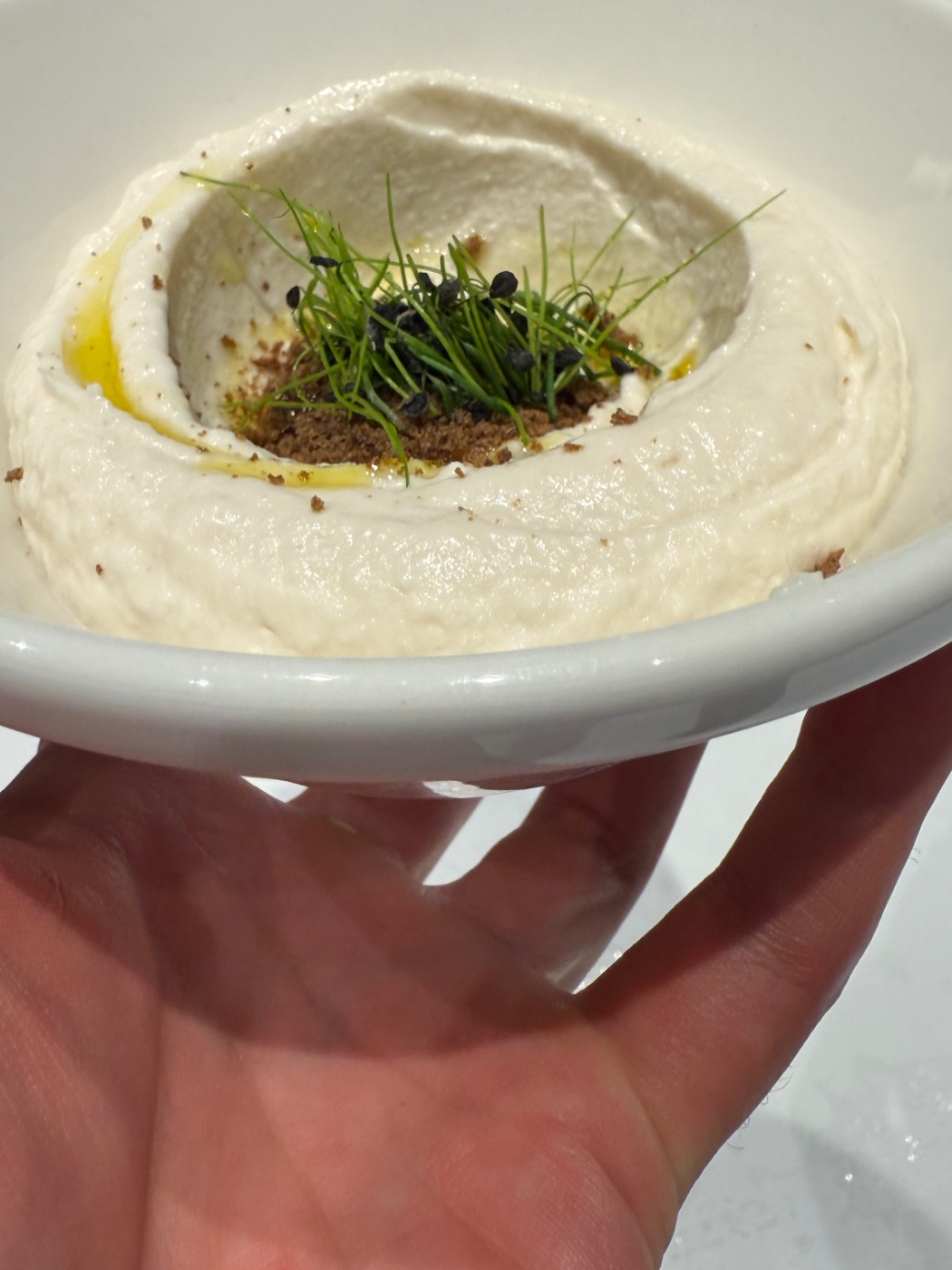 IMG_2714.jpeg IMG_2714.jpeg