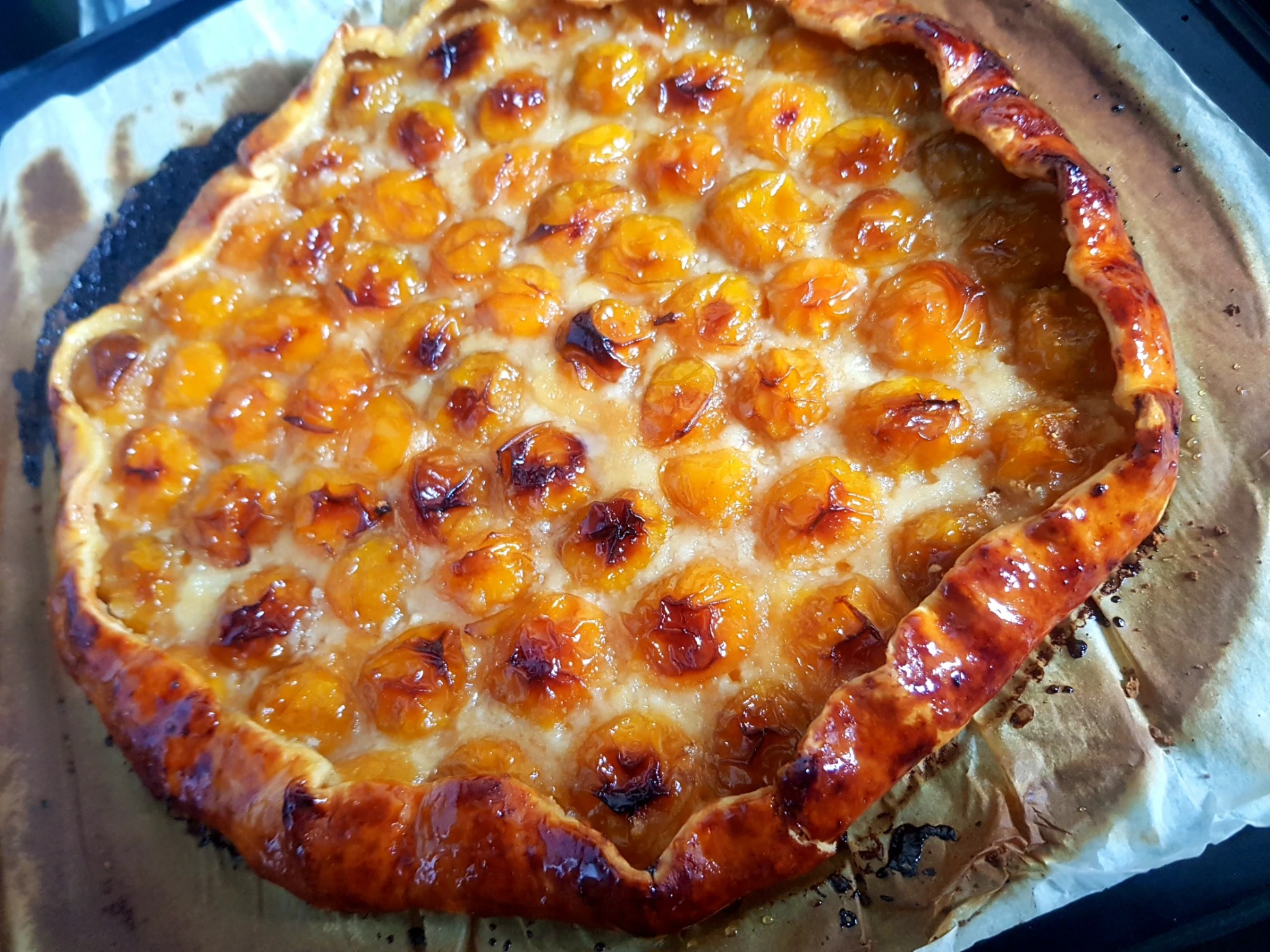 20240927_133731.jpg 20240927_133731.jpg