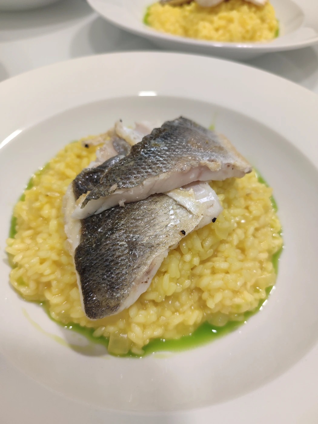 IMG_20240916_210445.jpg IMG_20240916_210445.jpg