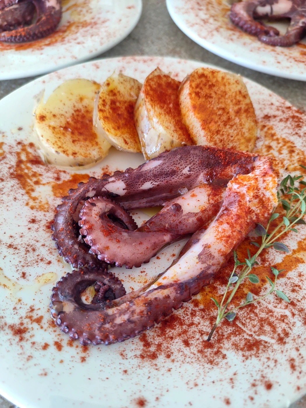 IMG_20240806_132637.jpg IMG_20240806_132637.jpg