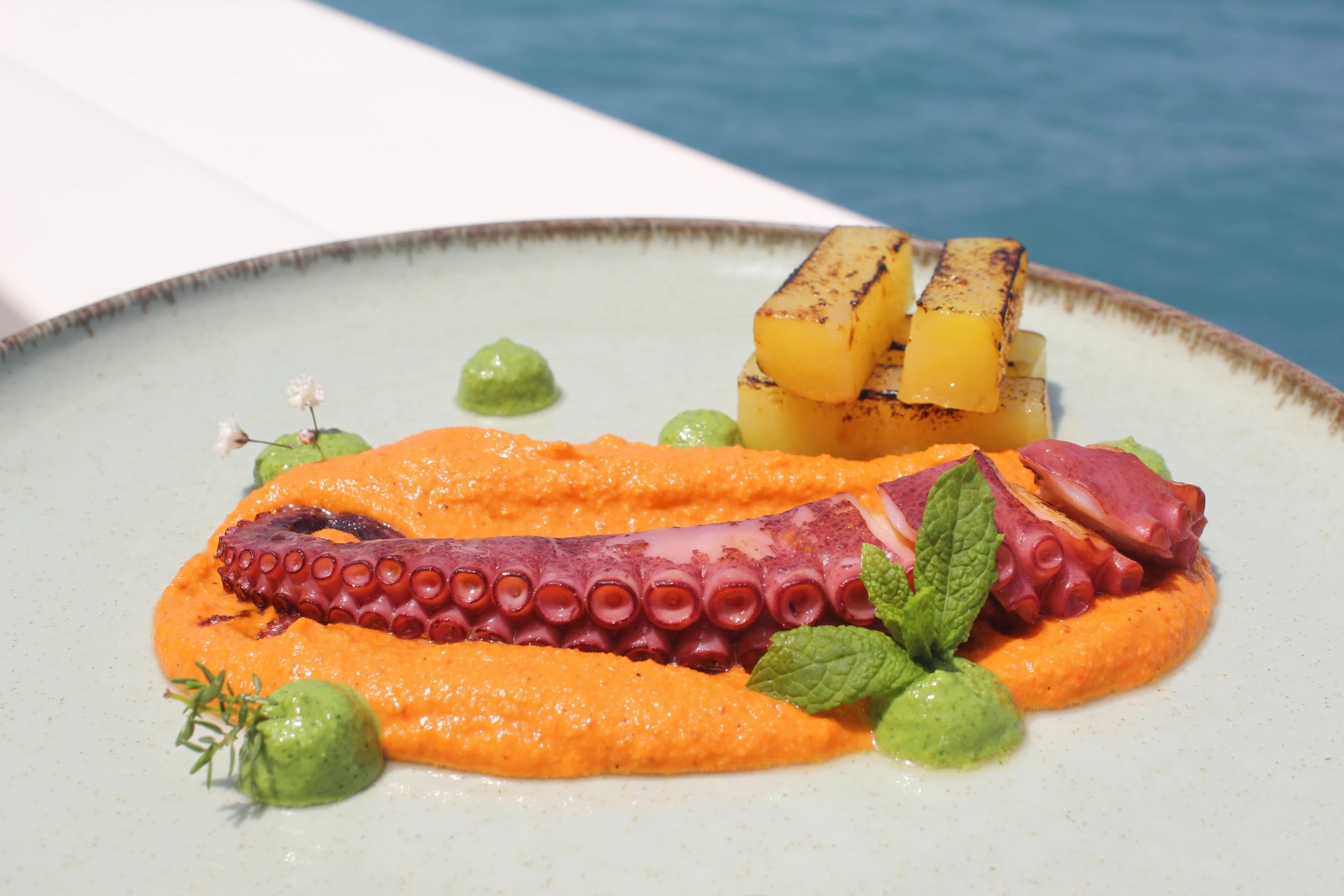 IMG_6959.JPG IMG_6959.JPG