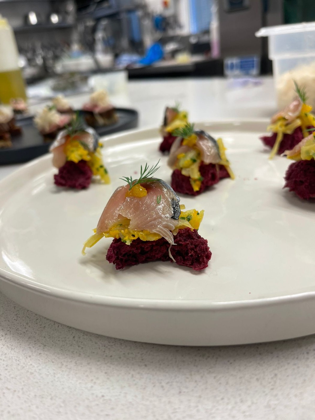 a9f0d8b4-d651-41f5-960f-22e4ee72f0e8.jpeg a9f0d8b4-d651-41f5-960f-22e4ee72f0e8.jpeg