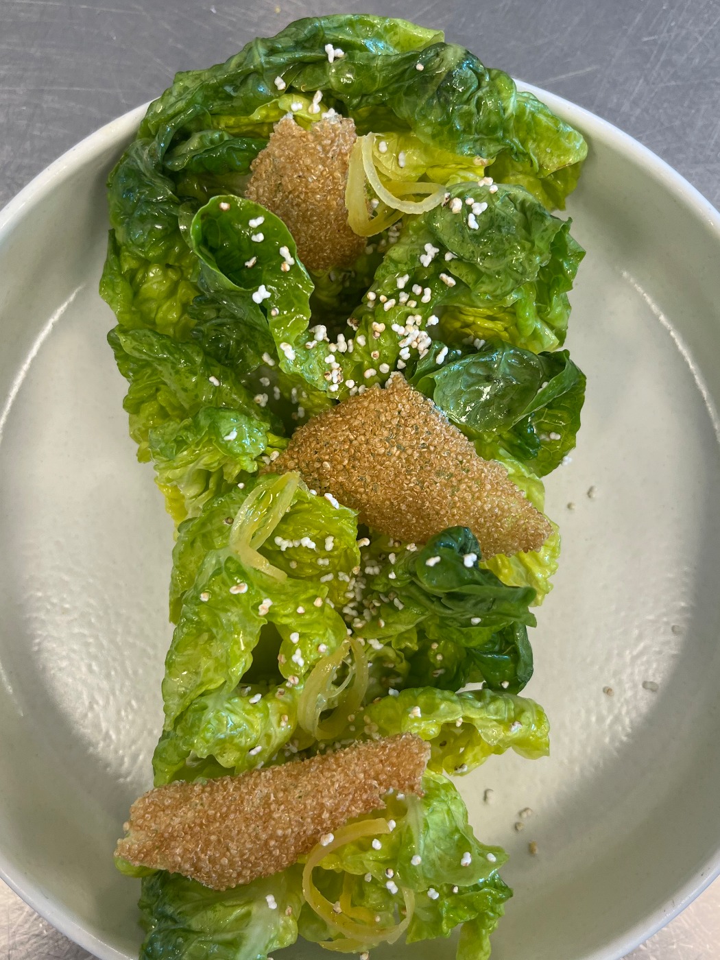 IMG_4598.jpeg IMG_4598.jpeg