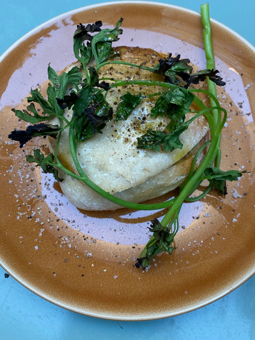 IMG_8052.JPG IMG_8052.JPG