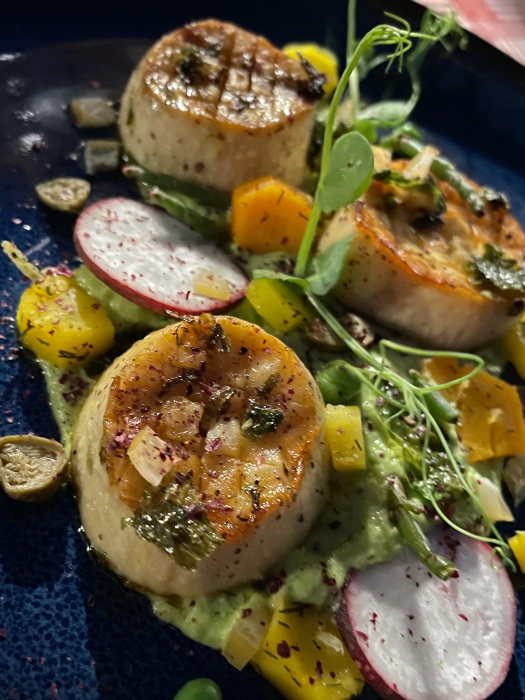 IMG_0870.jpeg IMG_0870.jpeg