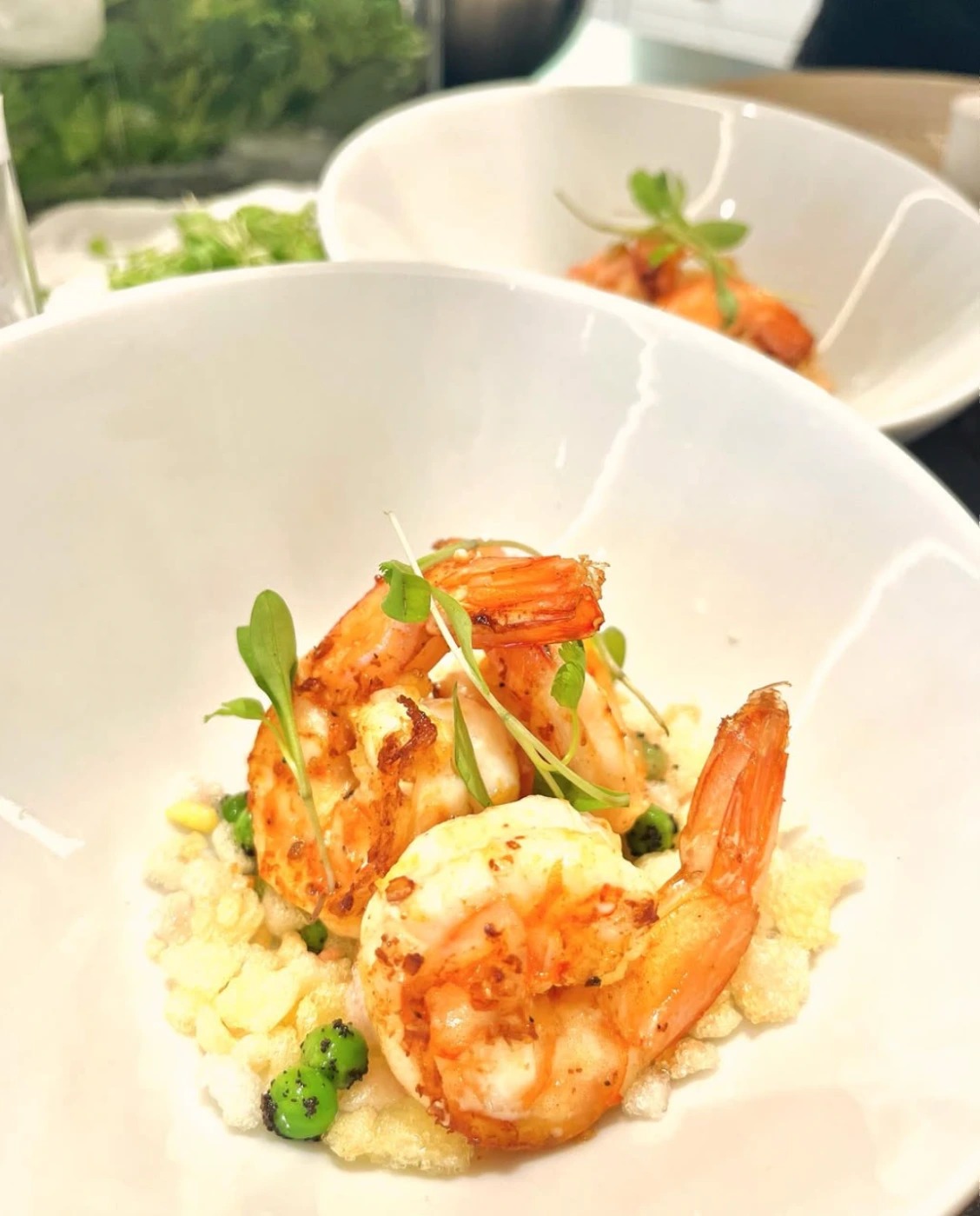 Screenshot 2025-12-16 at 10.56.06 a.m..png