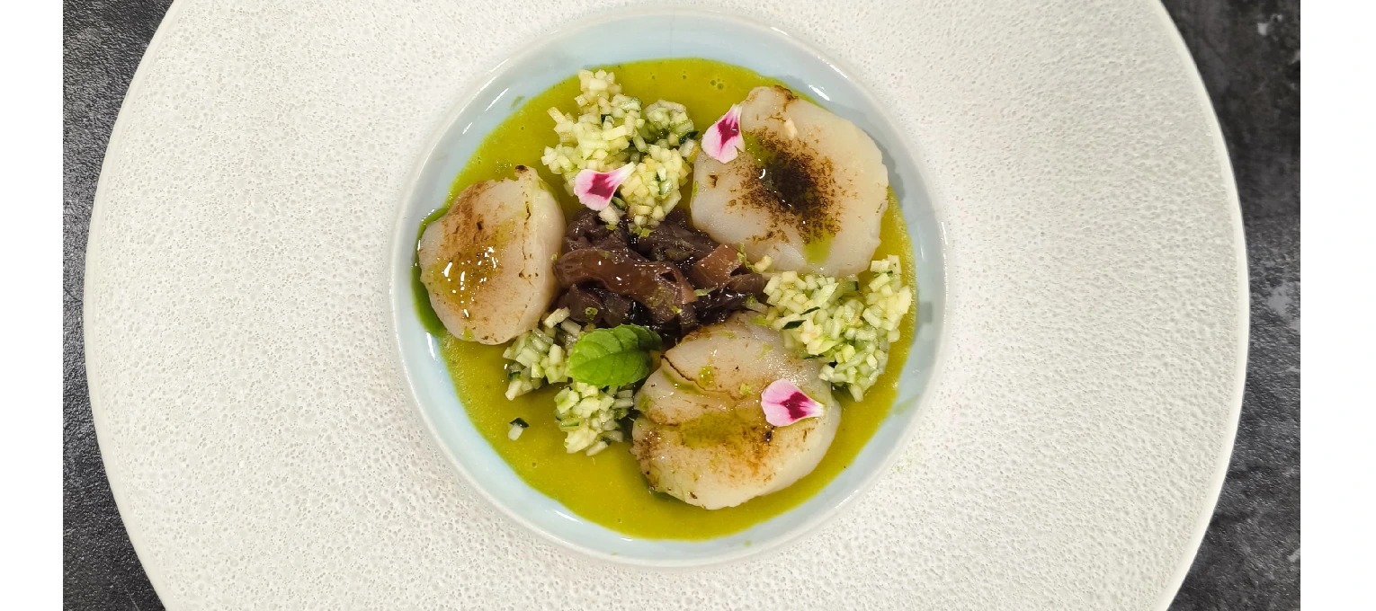 vieiras.png vieiras.png