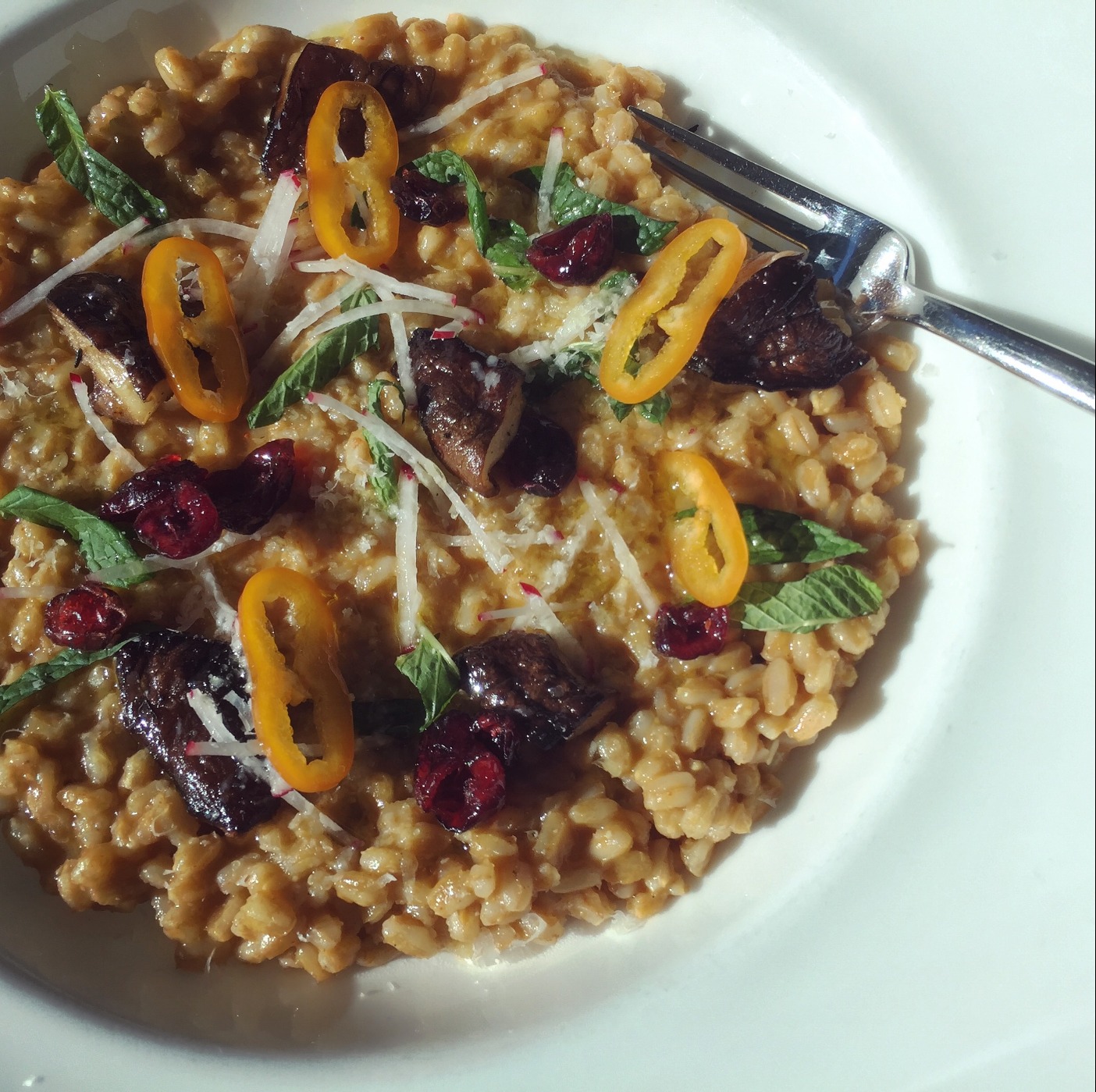 IMG_0341.jpeg IMG_0341.jpeg