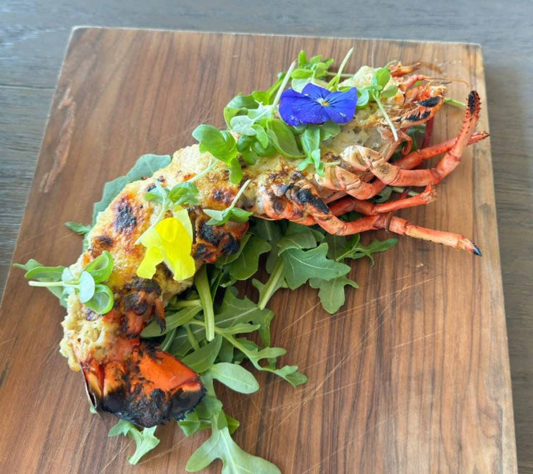 WhatsApp Image 2025-08-12 at 3.16.15 PM (3).jpeg