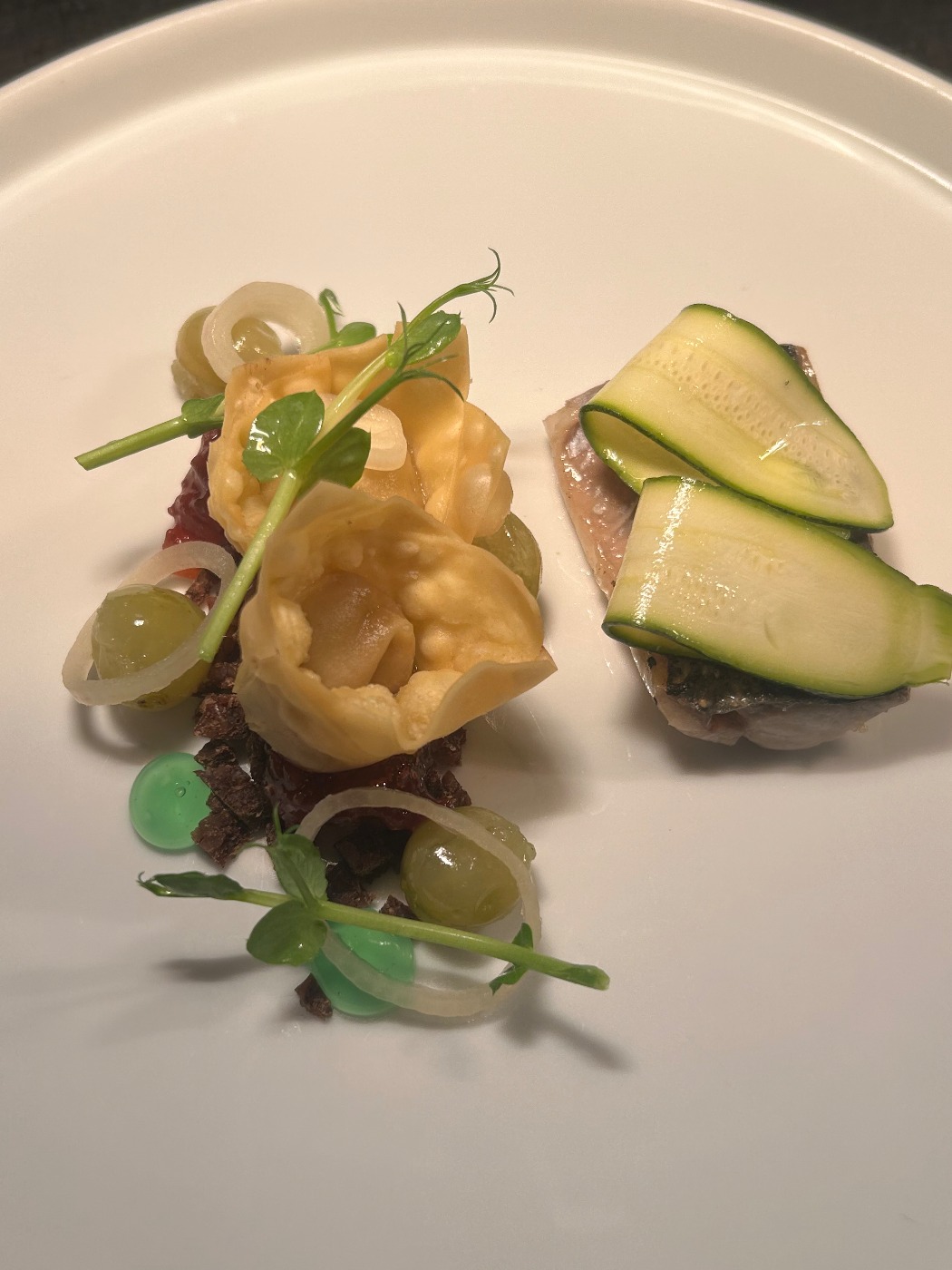 IMG_0742.jpeg IMG_0742.jpeg