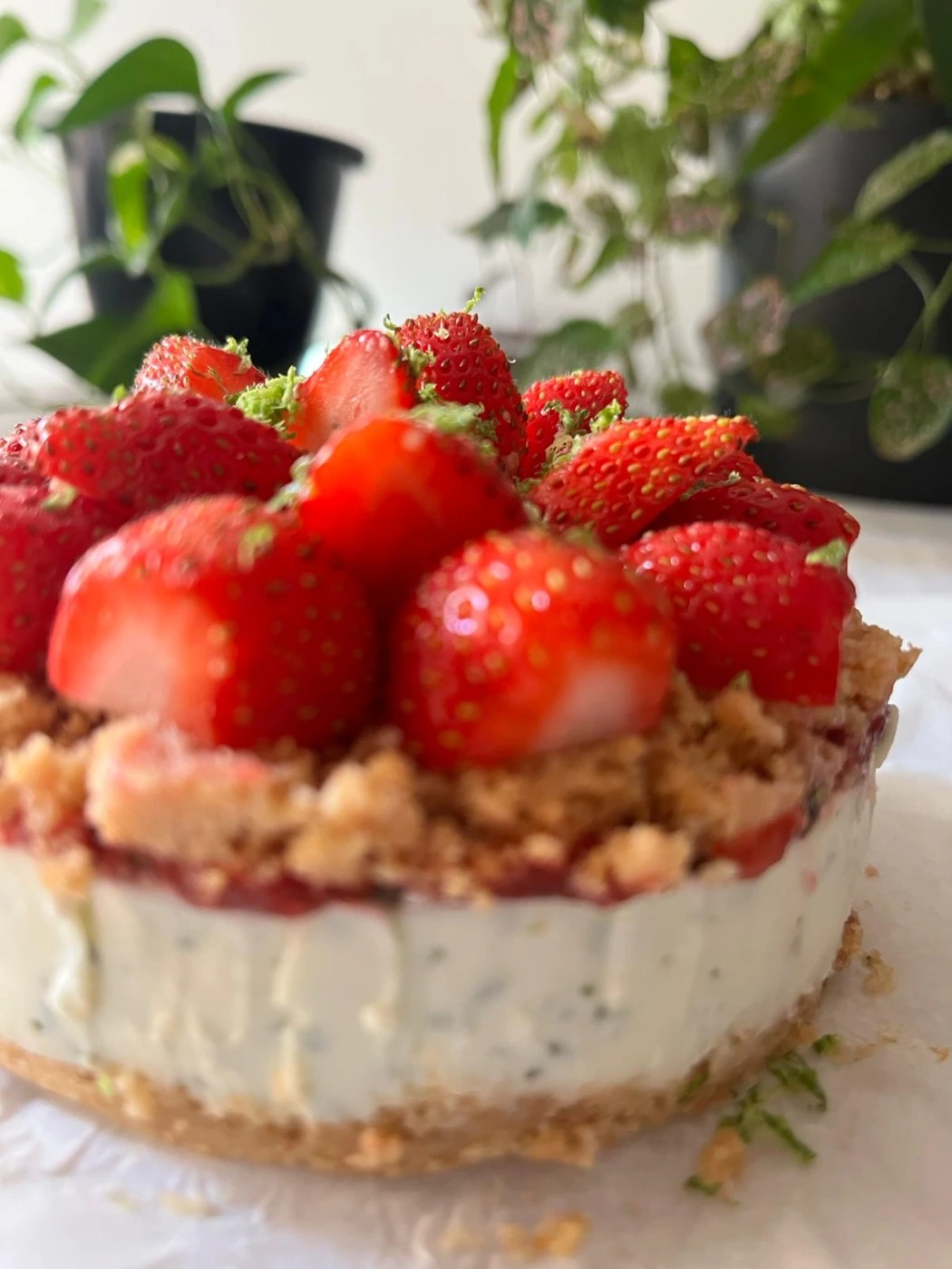 WhatsApp Image 2025-12-17 at 09.31.10.jpeg