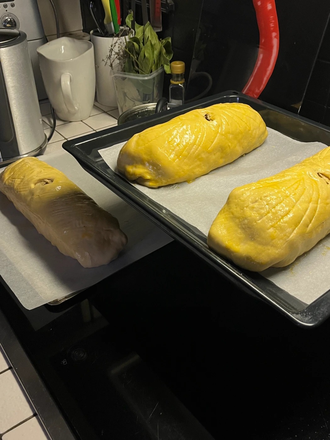 IMG_1087.jpeg IMG_1087.jpeg