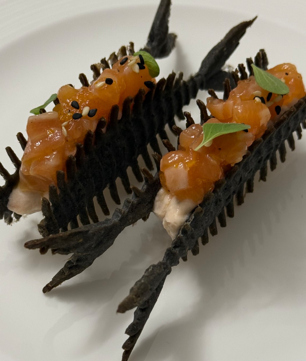 IMG_6940.jpeg IMG_6940.jpeg