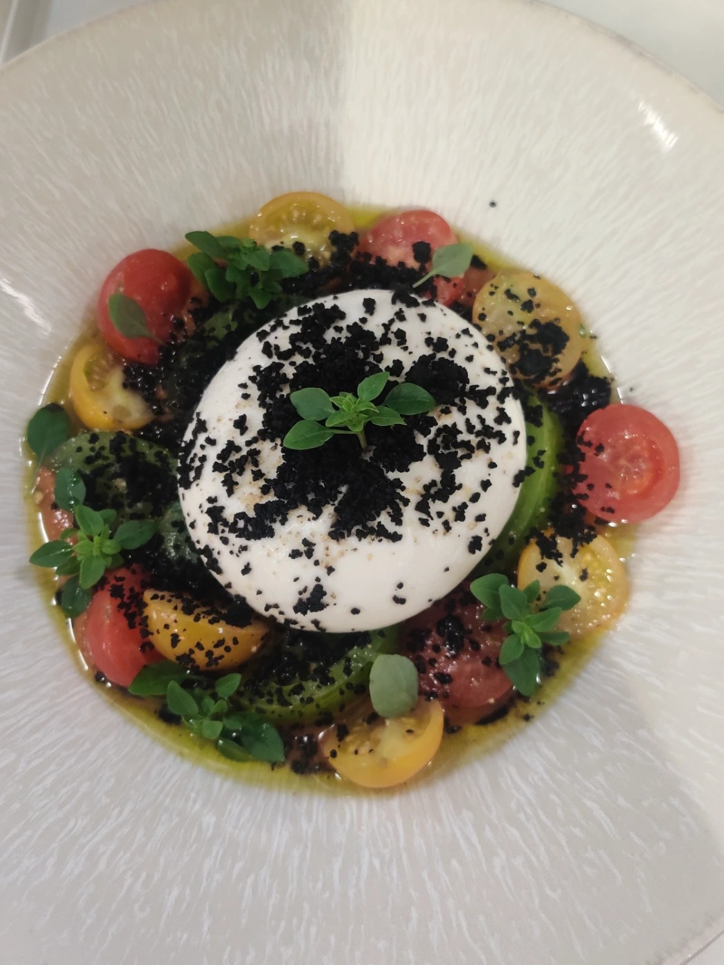 IMG_20240415_122953.jpg IMG_20240415_122953.jpg