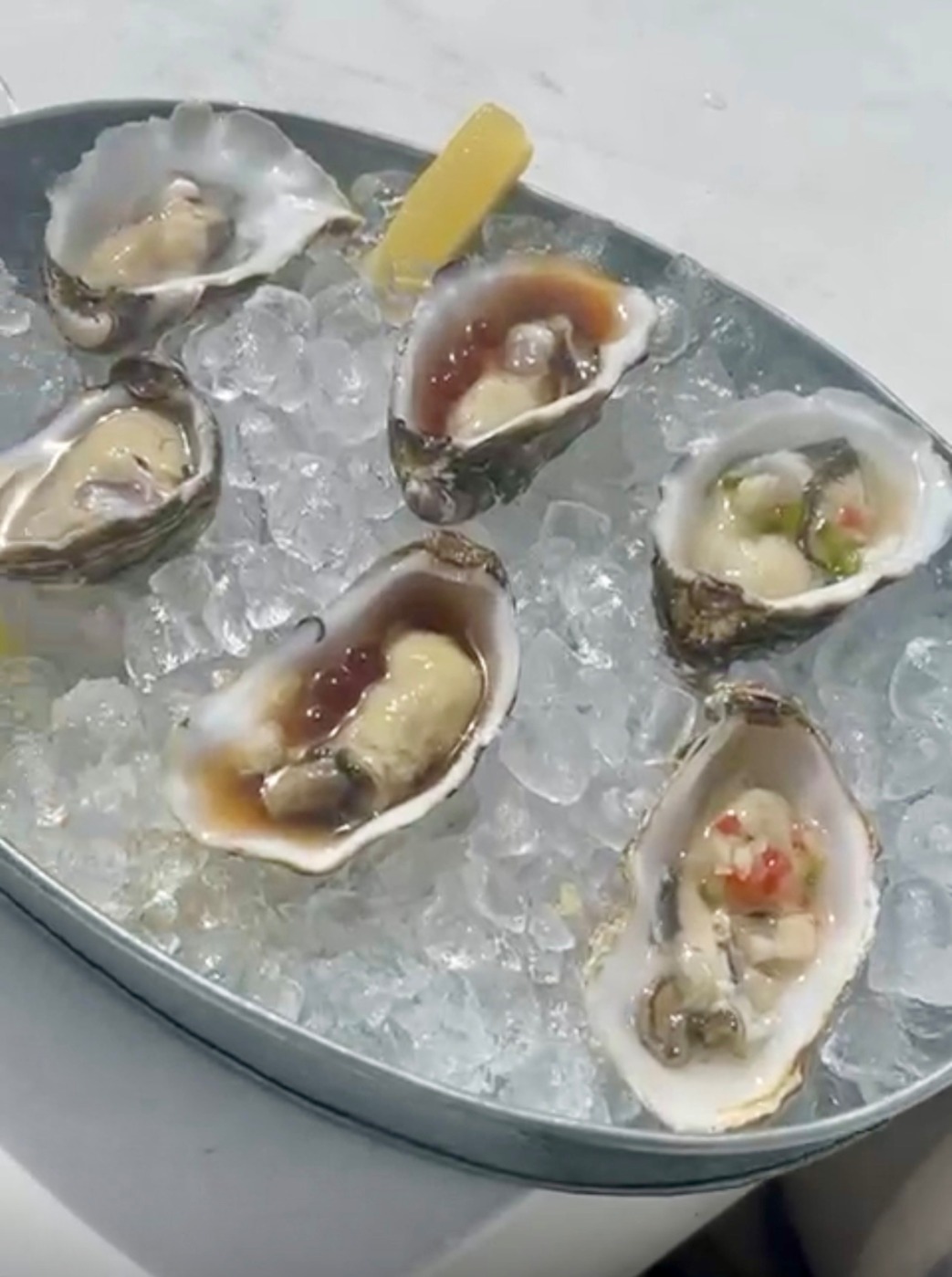 IMG_8228.jpeg IMG_8228.jpeg