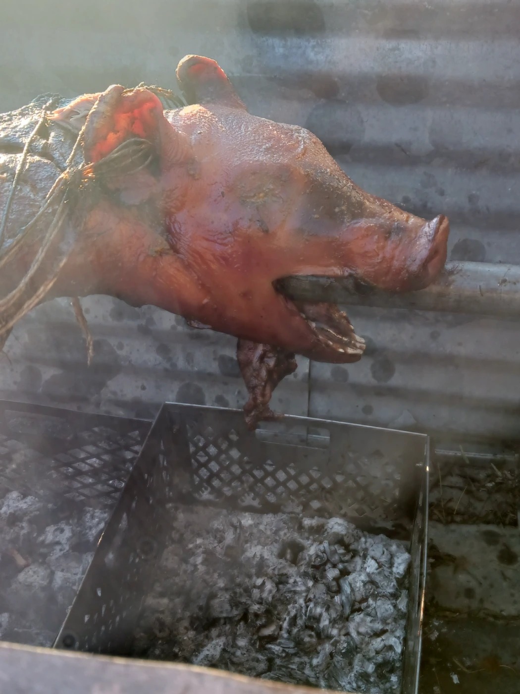 1000004229.jpg 1000004229.jpg