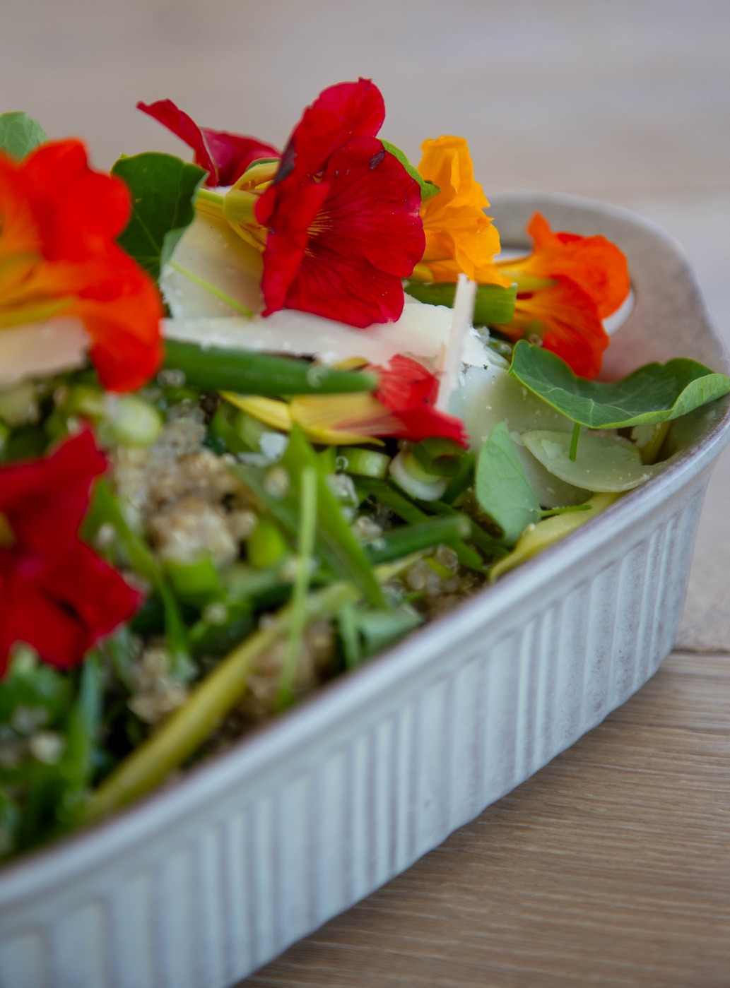 IMG_0042.jpeg IMG_0042.jpeg