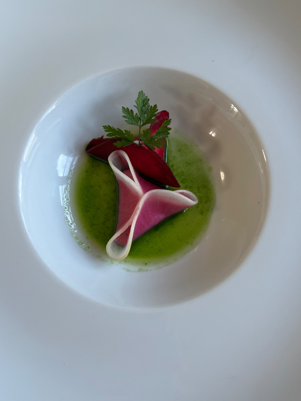 IMG_4266.jpeg IMG_4266.jpeg